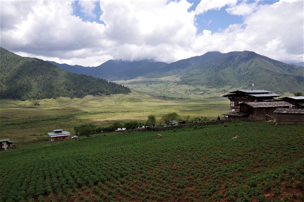 east-to-west-phobjikha valley